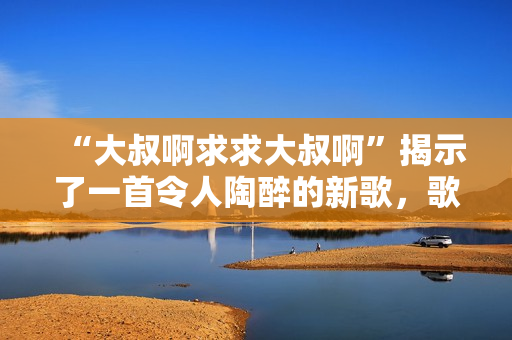 “大叔啊求求大叔啊”揭示了一首令人陶醉的新歌，歌词诙谐幽默，旋律动听。