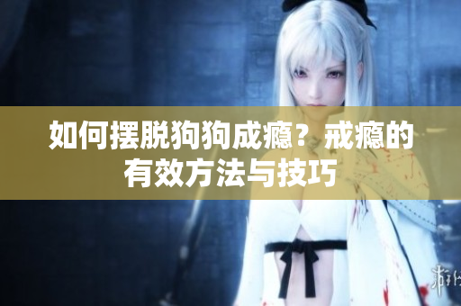 如何摆脱狗狗成瘾？戒瘾的有效方法与技巧