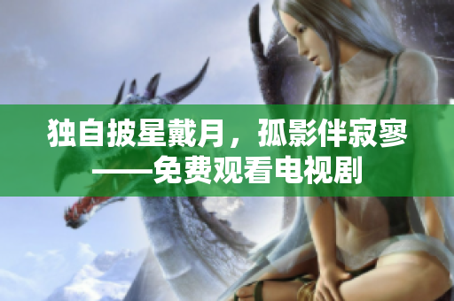 独自披星戴月，孤影伴寂寥——免费观看电视剧