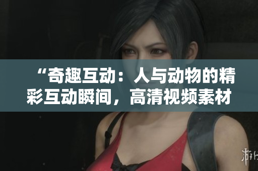 “奇趣互动：人与动物的精彩互动瞬间，高清视频素材免费下载！”