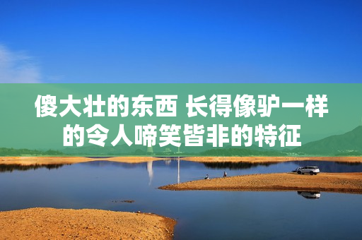 傻大壮的东西 长得像驴一样的令人啼笑皆非的特征