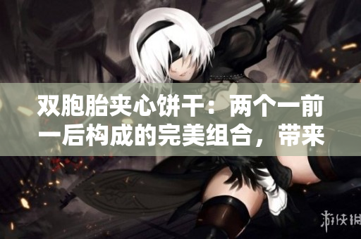 双胞胎夹心饼干：两个一前一后构成的完美组合，带来全新味蕾体验  