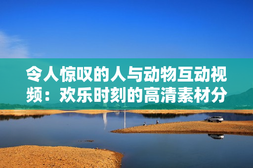 令人惊叹的人与动物互动视频：欢乐时刻的高清素材分享