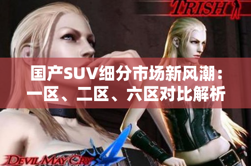 国产SUV细分市场新风潮：一区、二区、六区对比解析