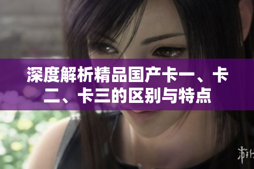 深度解析精品国产卡一、卡二、卡三的区别与特点
