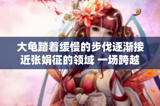 大龟踏着缓慢的步伐逐渐接近张娟征的领域 一场跨越种族和文化的相遇