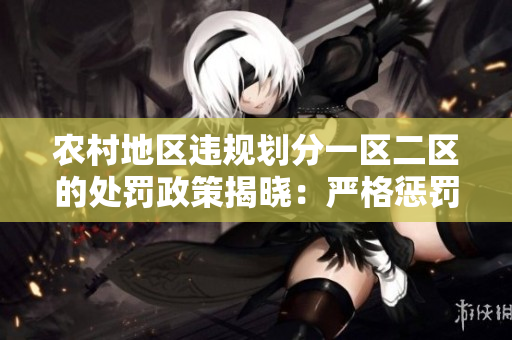 农村地区违规划分一区二区的处罚政策揭晓：严格惩罚行为不端