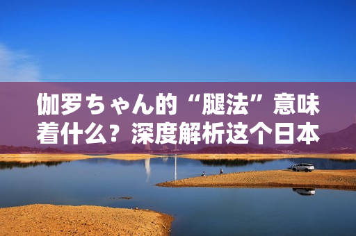 伽罗ちゃん的“腿法”意味着什么？深度解析这个日本流行语的含义