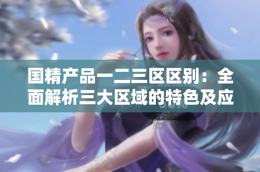 国精产品一二三区区别：全面解析三大区域的特色及应用场景