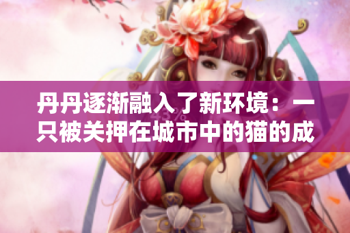 丹丹逐渐融入了新环境：一只被关押在城市中的猫的成长经历