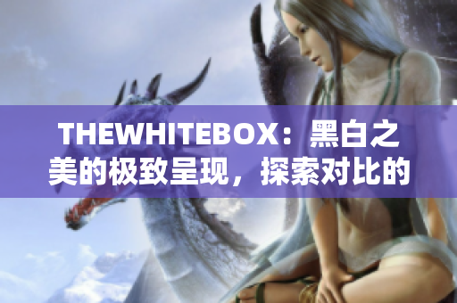 THEWHITEBOX：黑白之美的极致呈现，探索对比的艺术与设计