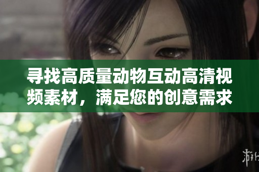 寻找高质量动物互动高清视频素材，满足您的创意需求，免费下载无需繁琐手续