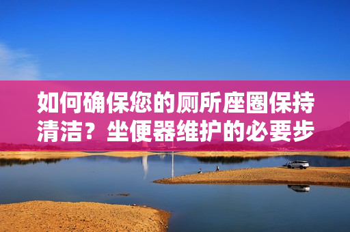 如何确保您的厕所座圈保持清洁？坐便器维护的必要步骤