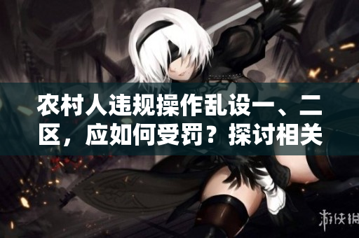 农村人违规操作乱设一、二区，应如何受罚？探讨相关处罚方式