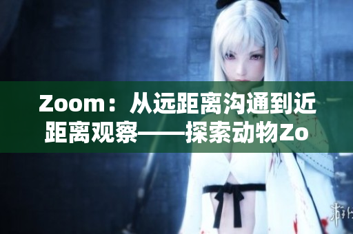 Zoom：从远距离沟通到近距离观察——探索动物Zoom的奇妙世界