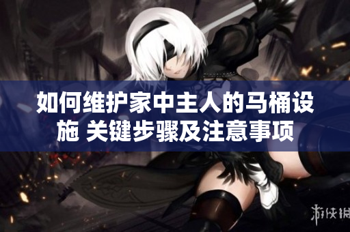 如何维护家中主人的马桶设施 关键步骤及注意事项