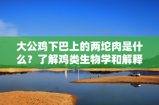大公鸡下巴上的两坨肉是什么？了解鸡类生物学和解释这一独特生理现象