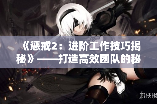 《惩戒2：进阶工作技巧揭秘》——打造高效团队的秘密武器