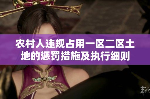 农村人违规占用一区二区土地的惩罚措施及执行细则