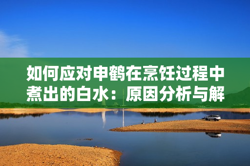 如何应对申鹤在烹饪过程中煮出的白水：原因分析与解决方法