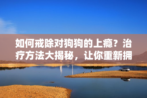 如何戒除对狗狗的上瘾？治疗方法大揭秘，让你重新拥有自由。