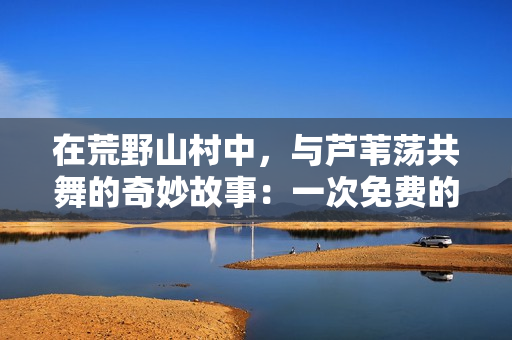 在荒野山村中，与芦苇荡共舞的奇妙故事：一次免费的阅读体验