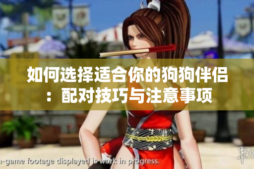 如何选择适合你的狗狗伴侣：配对技巧与注意事项
