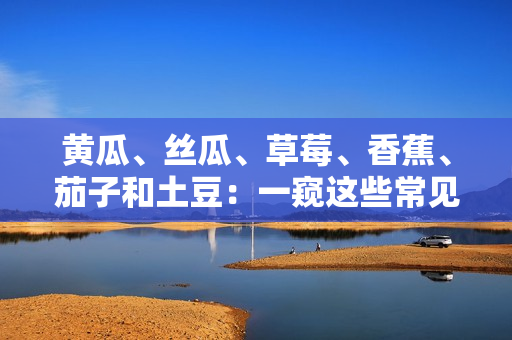 黄瓜、丝瓜、草莓、香蕉、茄子和土豆：一窥这些常见蔬果的健康益处和烹饪建议