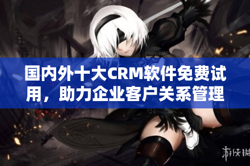 国内外十大CRM软件免费试用，助力企业客户关系管理