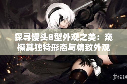 探寻馒头B型外观之美：窥探其独特形态与精致外观