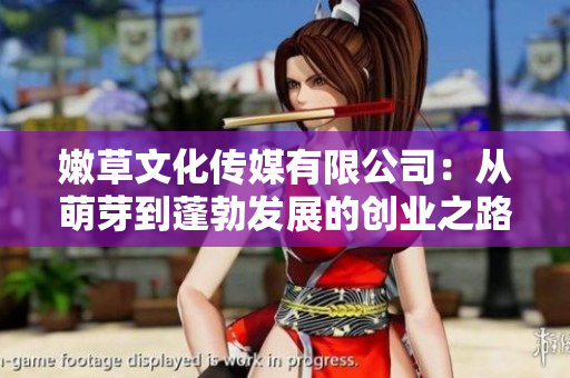 嫩草文化传媒有限公司：从萌芽到蓬勃发展的创业之路