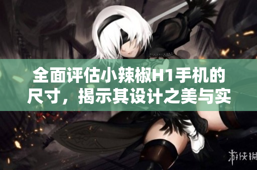 全面评估小辣椒H1手机的尺寸，揭示其设计之美与实用性