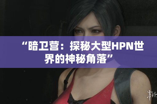 “暗卫营：探秘大型HPN世界的神秘角落”