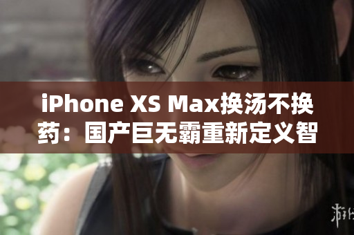 iPhone XS Max换汤不换药：国产巨无霸重新定义智能手机