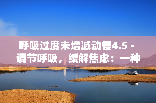 呼吸过度未增减动慢4.5 - 调节呼吸，缓解焦虑：一种新方法的研究