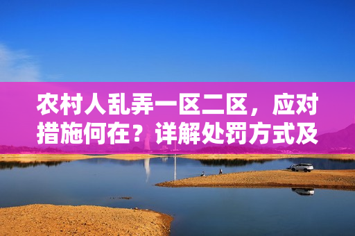 农村人乱弄一区二区，应对措施何在？详解处罚方式及影响评估
