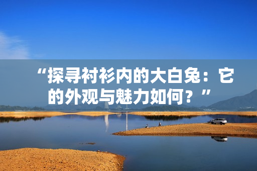 “探寻衬衫内的大白兔：它的外观与魅力如何？”