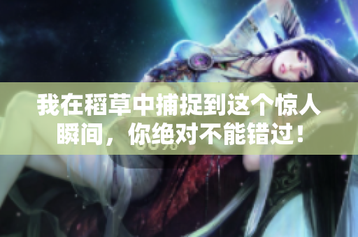 我在稻草中捕捉到这个惊人瞬间，你绝对不能错过！