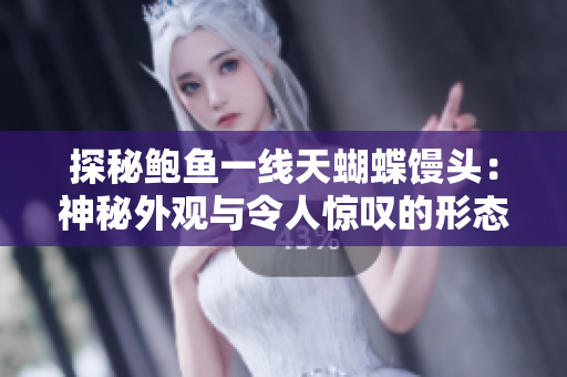 探秘鲍鱼一线天蝴蝶馒头：神秘外观与令人惊叹的形态揭秘