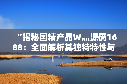 “揭秘国精产品W灬源码1688：全面解析其独特特性与市场价值”