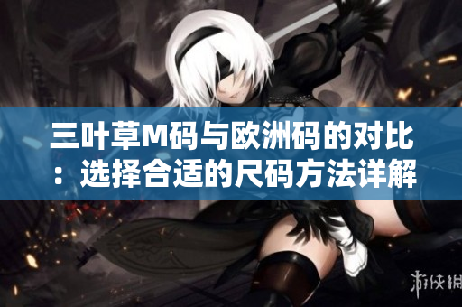 三叶草M码与欧洲码的对比：选择合适的尺码方法详解