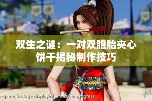 双生之谜：一对双胞胎夹心饼干揭秘制作技巧