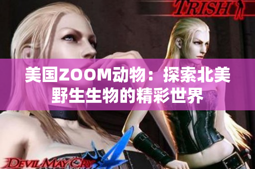 美国ZOOM动物：探索北美野生生物的精彩世界