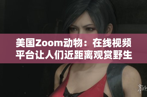 美国Zoom动物：在线视频平台让人们近距离观赏野生动物