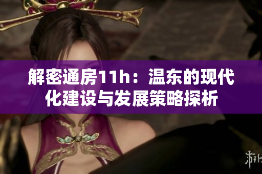 解密通房11h：温东的现代化建设与发展策略探析
