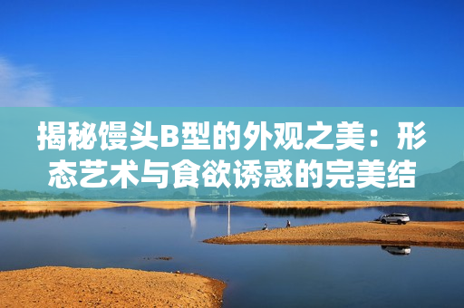 揭秘馒头B型的外观之美：形态艺术与食欲诱惑的完美结合