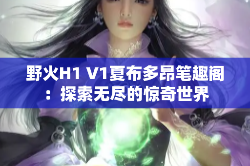 野火H1 V1夏布多昂笔趣阁：探索无尽的惊奇世界