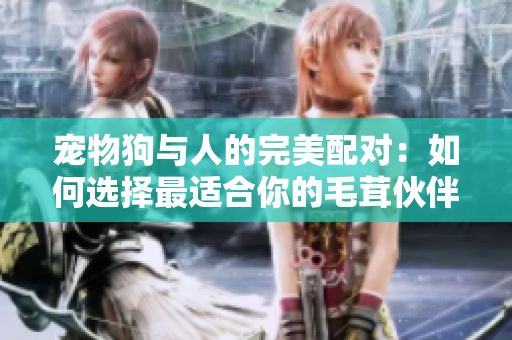 宠物狗与人的完美配对：如何选择最适合你的毛茸伙伴