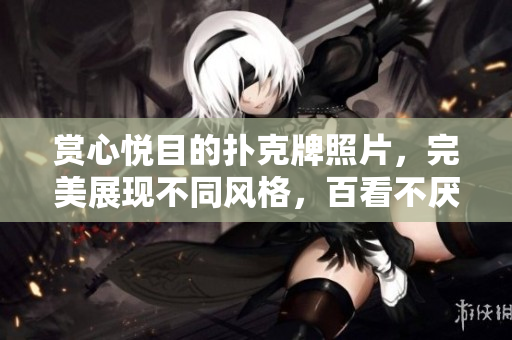 赏心悦目的扑克牌照片，完美展现不同风格，百看不厌