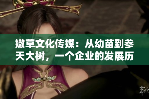 嫩草文化传媒：从幼苗到参天大树，一个企业的发展历程